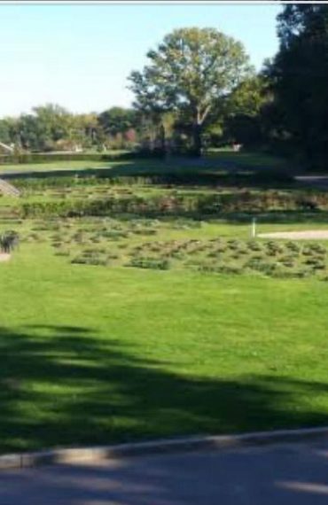 Cemetery 8 Brick Lane Muslim Funeral London Blog